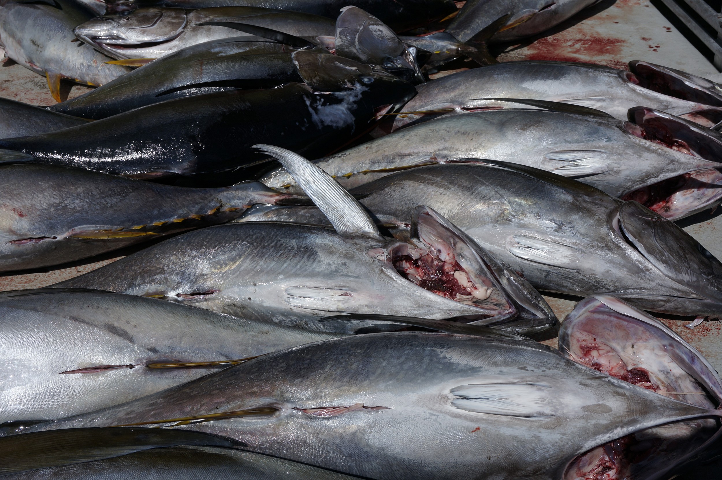 image from .....and then there were none